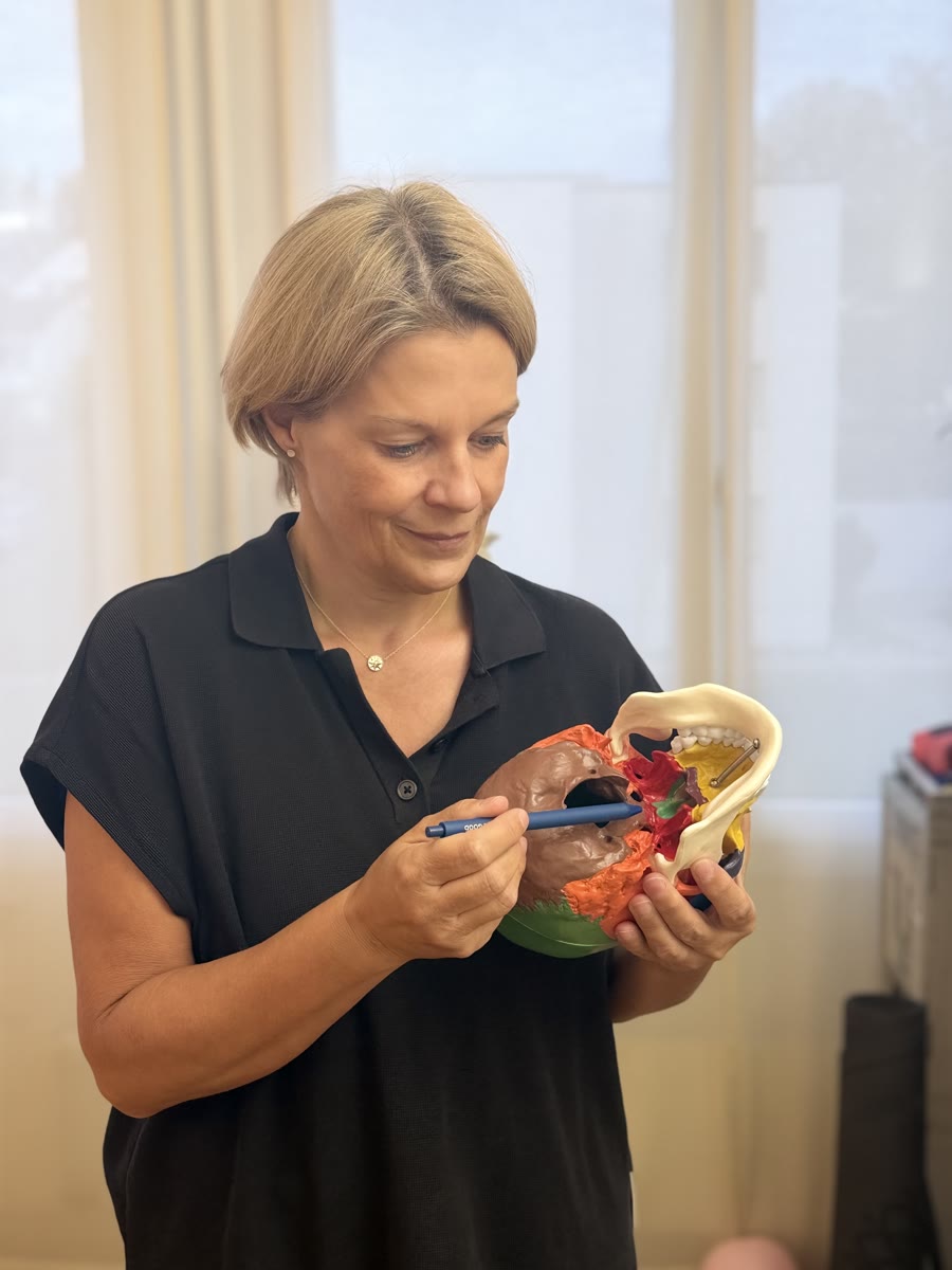 Priv.-Doz. Dr. Dr. Astrid Kruse Gujer erklärt Zusammenhänge am farbigen Schädelmodell
